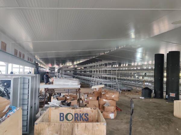 Монтаж оборудования для родительского молодняка 